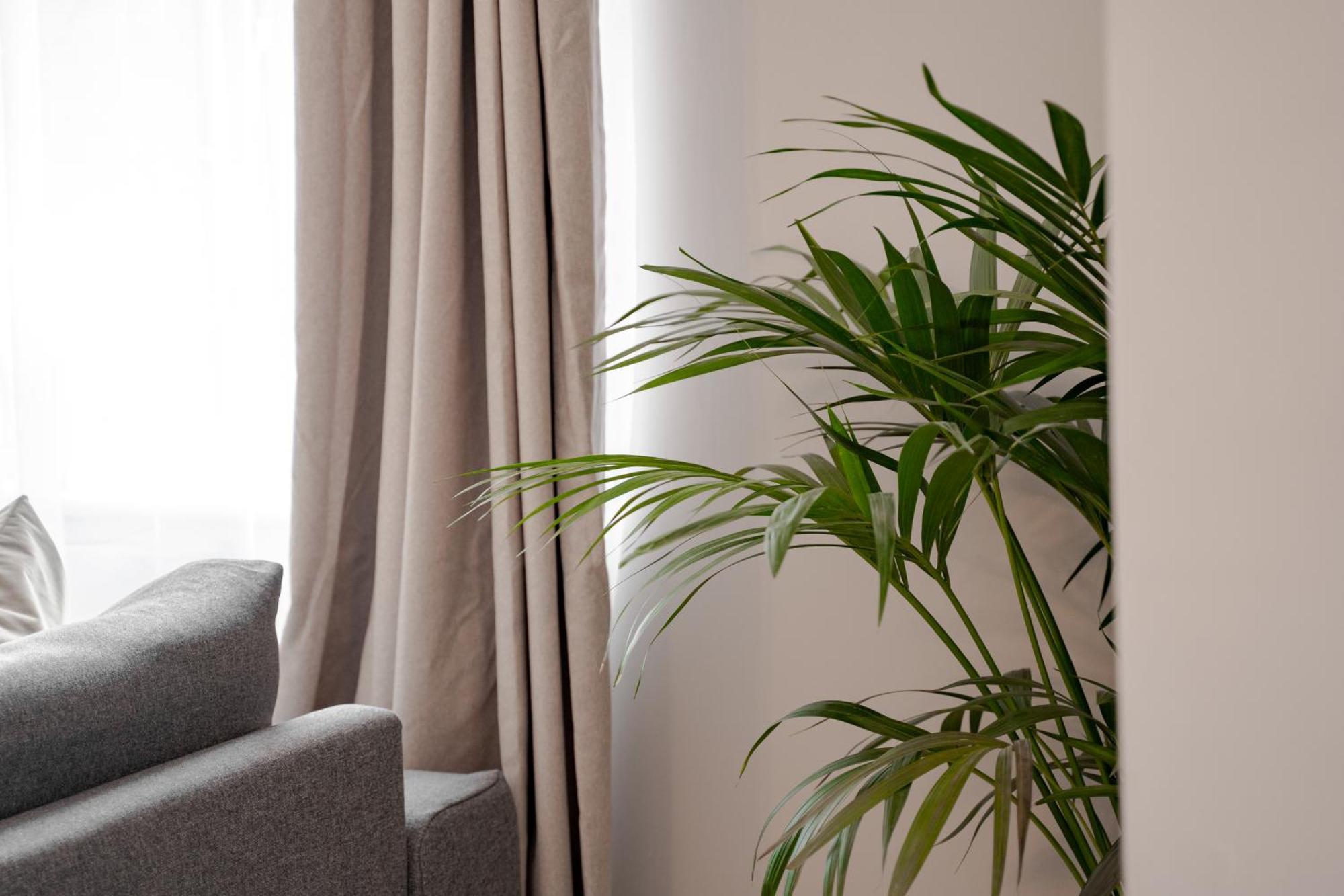 Stylish & Recently Refurbished Chester Apartment - Up To 6 Ngoại thất bức ảnh